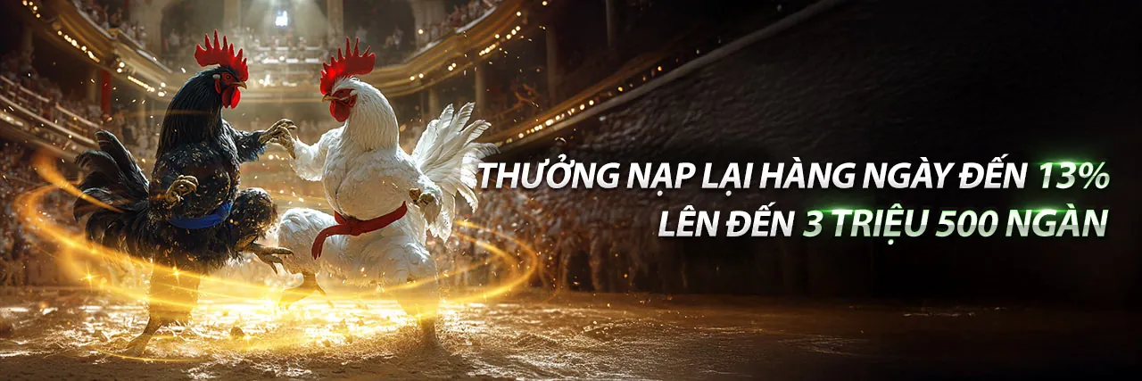 Sân Đá Gà Trực Tuyến bj3888 Nổ Hũ